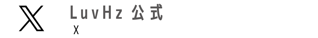 公式X